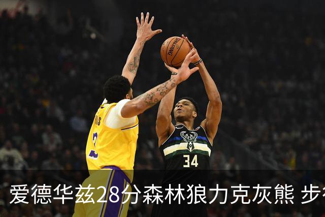 爱德华兹28分森林狼力克灰熊 步行者险胜国王